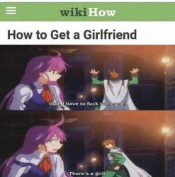 WikiHow To Get a Girlfriend Meme Template