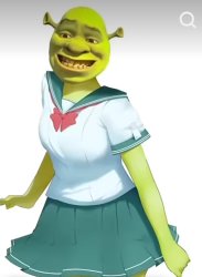 Schoolgirl shrek Meme Template