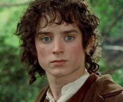 Oops Frodo Meme Template