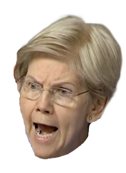 Elizabeth Warren Meme Template