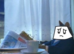 jammy newspaper cat Meme Template