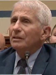 Fauci Meme Template