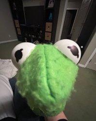 Kermit .5 Meme Template