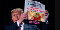 Pippa Divorcing Pepe Meme Template
