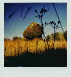 Polaroid I-2, i-Type Film.  Split-Rocker by Jeff Koons. Meme Template