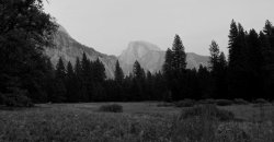 Picnic Spot. Meme Template