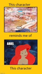 nami reminds me of ariel Meme Template