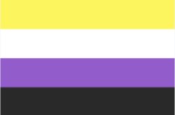 they/them flag Meme Template