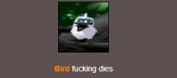 Bird dies Meme Template