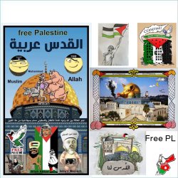 State of Palestine. Palestinian solidarity. Jerusalem, Jenin, Be Meme Template