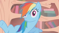 Rainbow dash oh no Meme Template