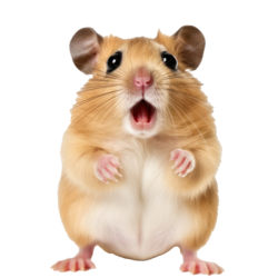 Shocked hamster Meme Template