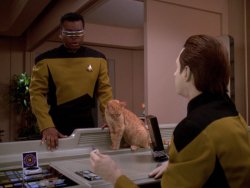 Geordi, Spot and Data. Meme Template