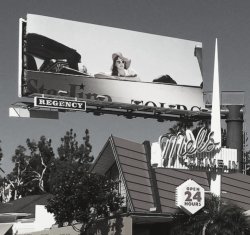 Lana Billboard. Meme Template
