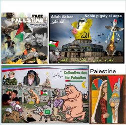 State of Palestine. Palestinian solidarity. Jerusalem, Jenin, Be Meme Template