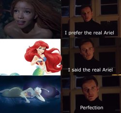 the real ariel meme Meme Template