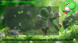 yoshi's stupid temp Meme Template