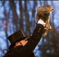 Ground hog Meme Template