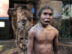 Prehistoric human Meme Template