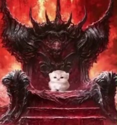 Kitty :3 Meme Template