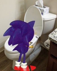 Sonic peeing in the toilet Meme Template