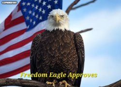 Freedom Eagle Approves Meme Template