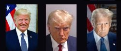Trump pedohpile criminal convicted felon Meme Template