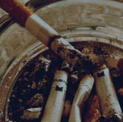 Ash Tray. Meme Template