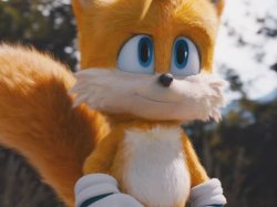 Tails Meme Template