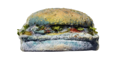 MOLDY AHH BURGER ? Meme Template