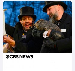 Punxsutawney Phil Meme Template