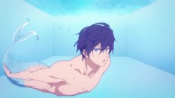 Haru mermaid Meme Template