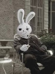 Bunny Meme Template