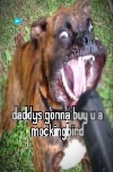 daddys gonna buy u a mockingbird Meme Template