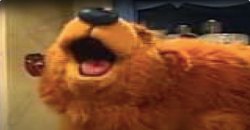 bear nutting Meme Template