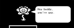 Flowey Hey Buddy you're gay Meme Template