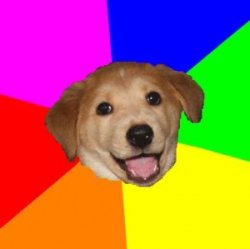 Rainbow happy puppy dog Meme Template