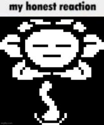 Flowey’s honest reaction Meme Template