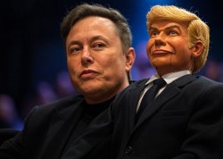 Elon Musk Donald Trump #Elonald ventriloquist dummy Meme Template