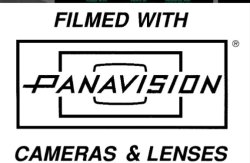 Filmed With PANAVISION® Cameras And Lenses Meme Template