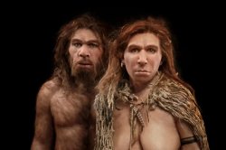 Neanderthals Meme Template
