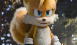 Tails Meme Template