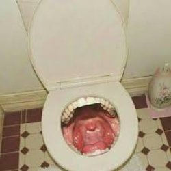 cursed toilet Meme Template