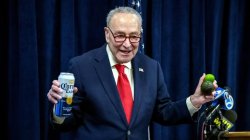 chuck schumer tariffs Meme Template