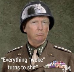 Donald Trump Meme Template