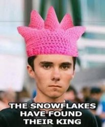 David Hogg Meme Template