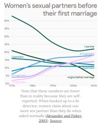 Women's sexual partners before their first marriage Meme Template
