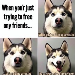 Lost Our Home Pet rescue Meme Template