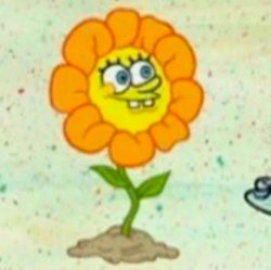 Come Again SpongeBob Flower Meme Template