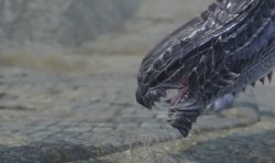 Looking Gore Magala Meme Template